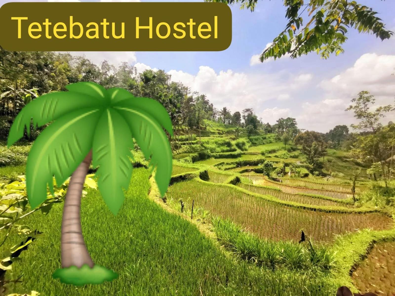 Tetebatu Hostel Luaran gambar