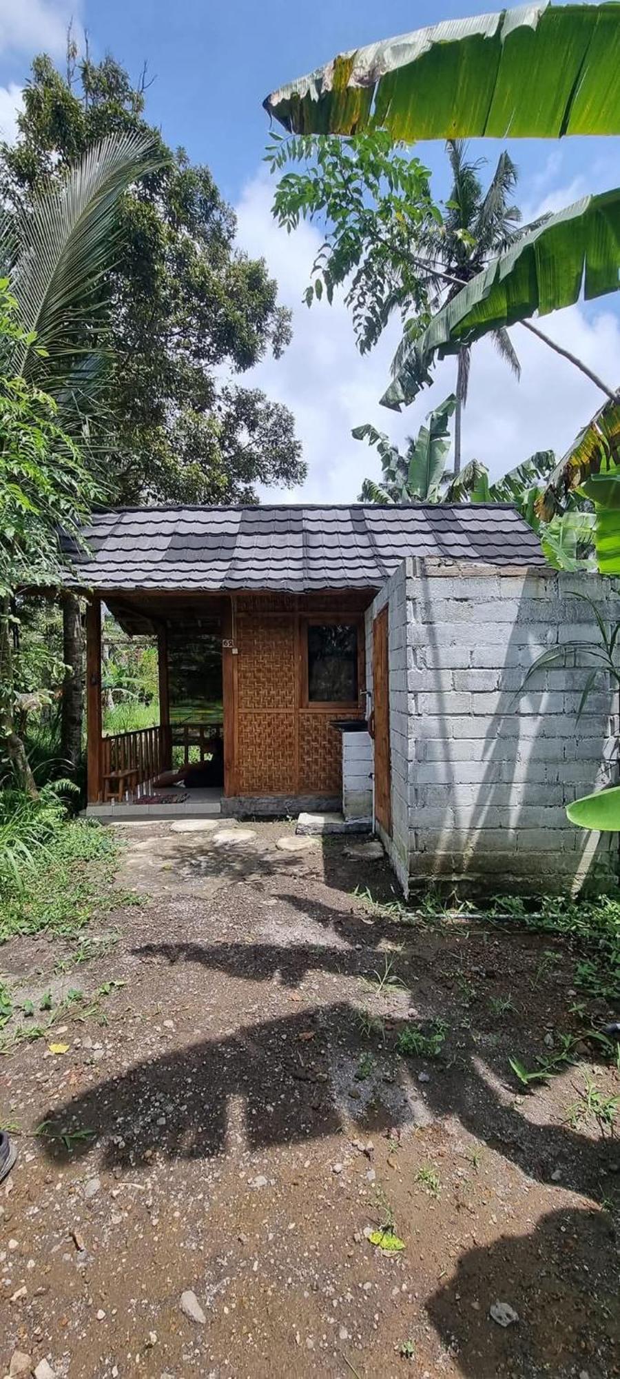 Tetebatu Hostel Bilik gambar